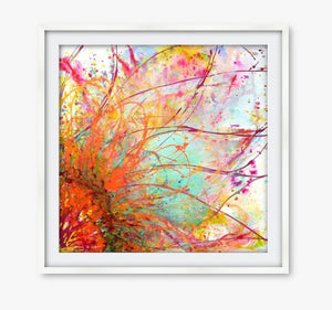 Brilliant Bloom - Limited Edition Art Prints