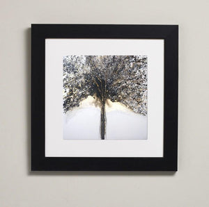 Small Framed Prints - Choice of Tree designs - Ready to hang