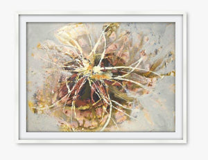 Sugar Flower - Limited Edition Art Prints