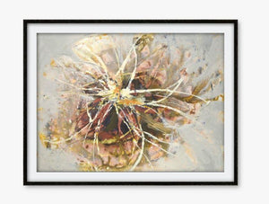 Sugar Flower - Limited Edition Art Prints