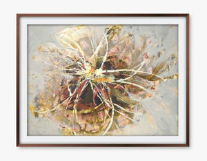 Sugar Flower - Limited Edition Art Prints